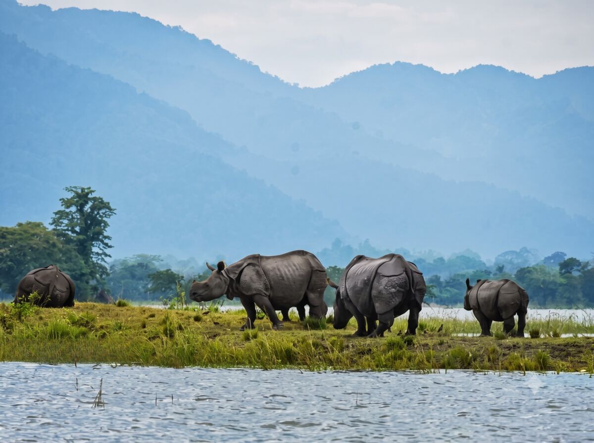 Assam & Meghalaya Tour — guided tour in Assam & Meghalaya, Northeast India